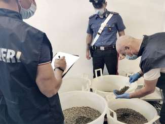 Carabinieri sequestrano fusti di capperi nelle Eolie
