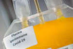 Coronavirus in Sicilia, 1.920 nuovi casi e 9 morti